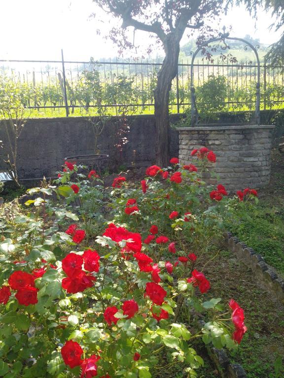 Casa Badinot Guest House Diano d'Alba Bilik gambar