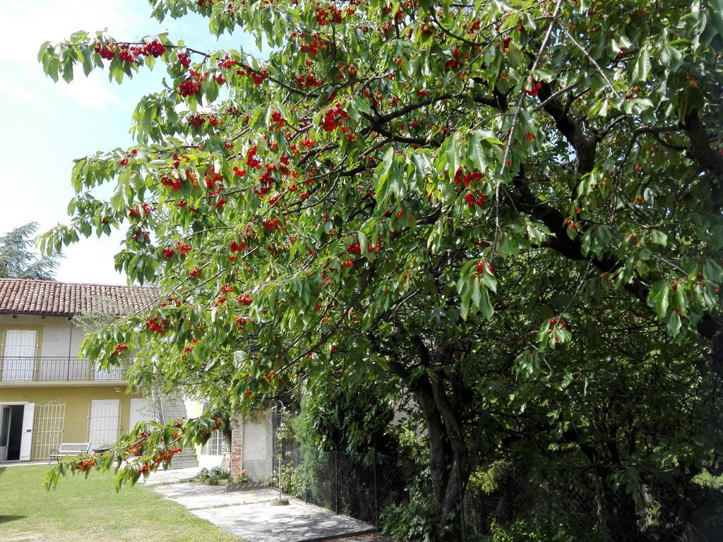 Casa Badinot Guest House Diano d'Alba Luaran gambar