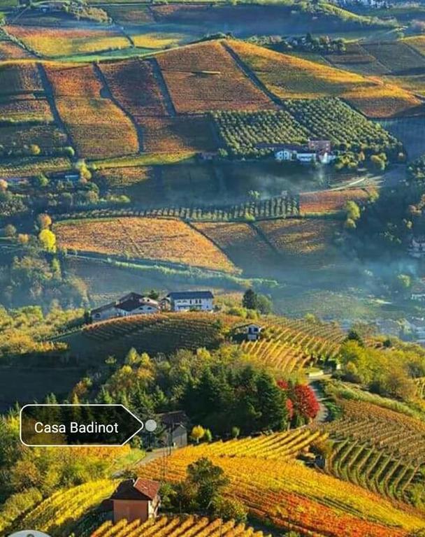 Casa Badinot Guest House Diano d'Alba Luaran gambar